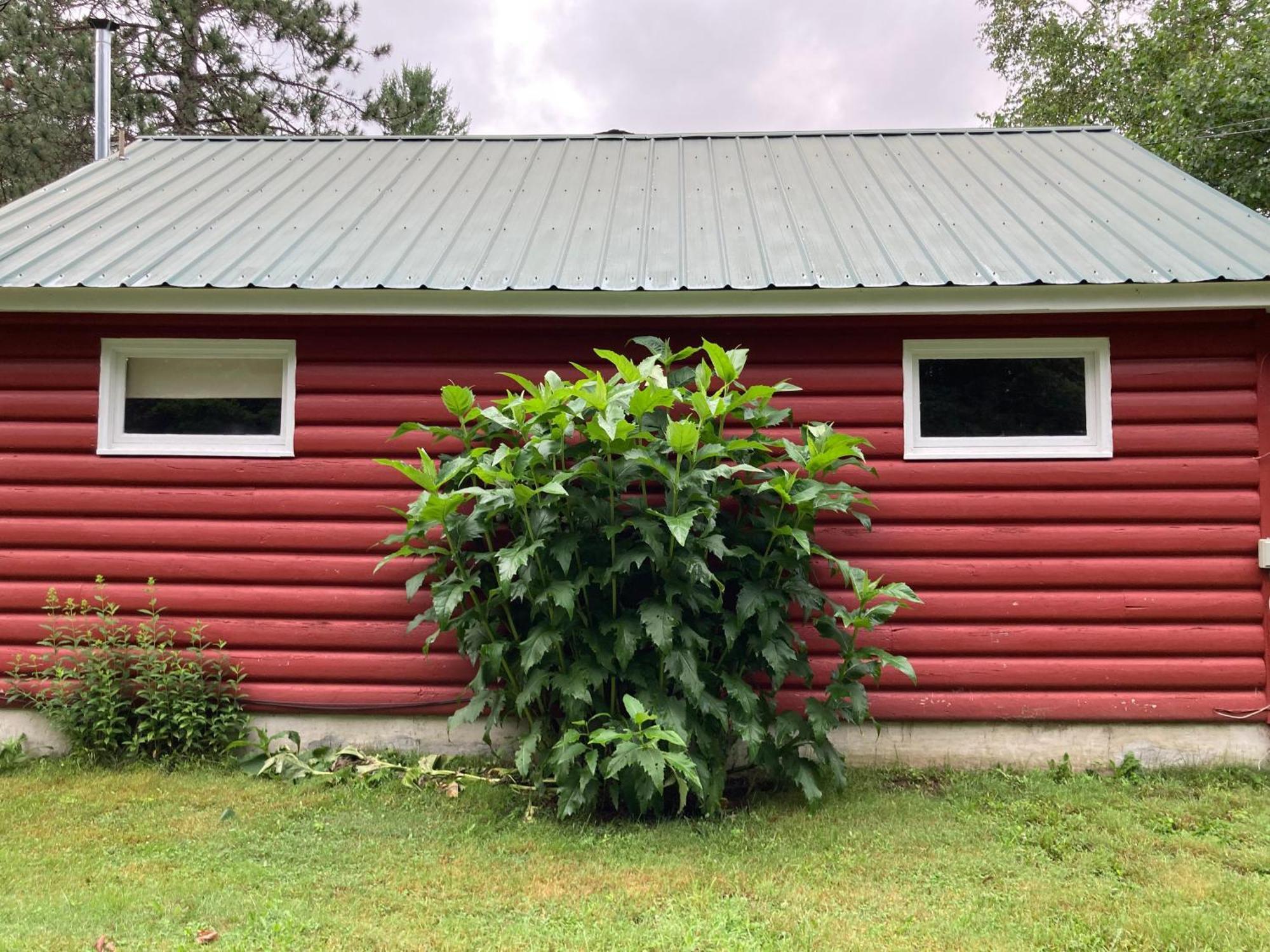 The Lorca Adirondacks Motel Indian Lake Δωμάτιο φωτογραφία